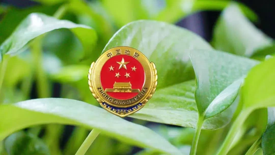 实力圈粉!中国检察公益诉讼"c位出道"
