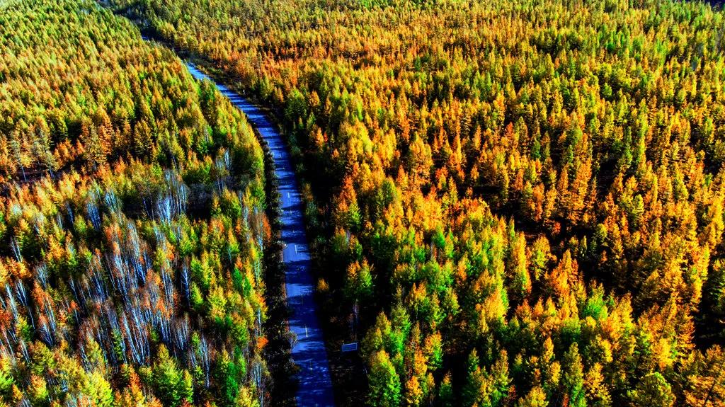 守护我们心中的绿野仙踪-根河_内蒙古自治区根河市人民检察院
